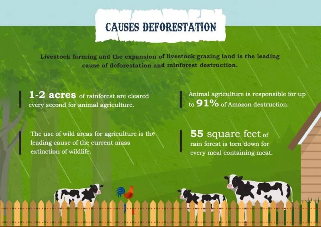 Eating Green: The Link Between Diet, Cruelty, and Environmental Impact 7 Eating Green: The Link Between Diet, Cruelty, and Environmental Impact June 2025