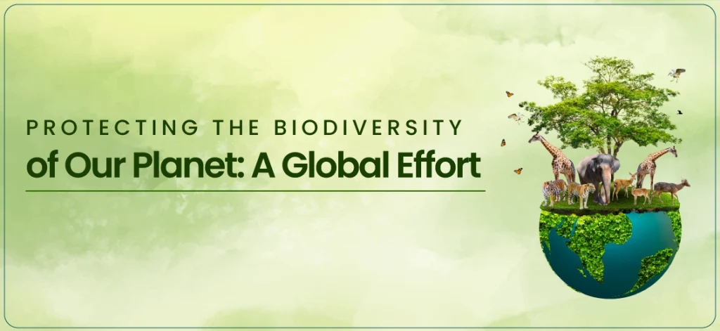 How a Vegan Diet Supports Sustainability: Protecting the Planet, Reducing Emissions, and Conserving Resources 3 How a Vegan Diet Supports Sustainability: Protecting the Planet, Reducing Emissions, and Conserving Resources June 2025