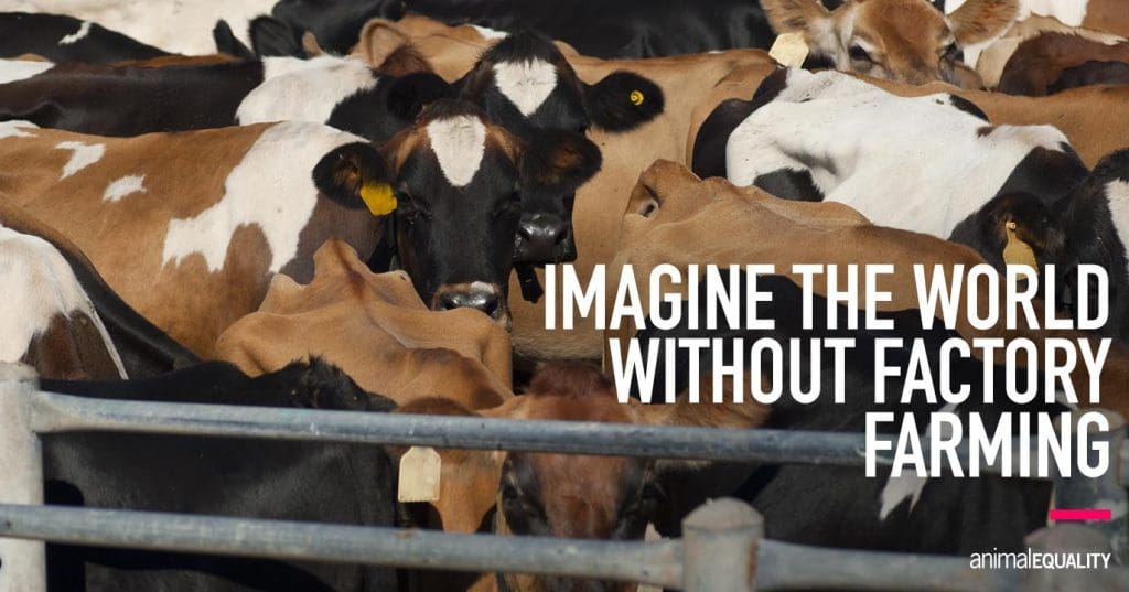 Sustainable Farming Innovations: Shaping a Cruelty-Free Future for Agriculture 1 Sustainable Farming Innovations: Shaping a Cruelty-Free Future for Agriculture June 2025