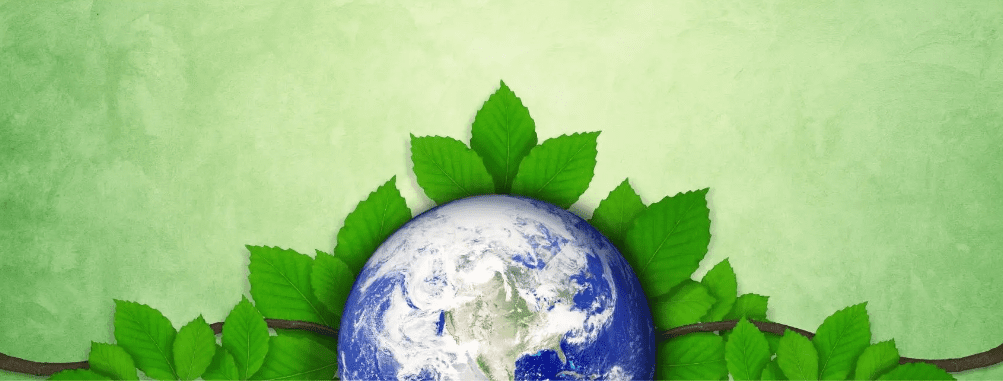 Why a Plant-Based Diet is Essential for Human Survival 4 Why a Plant-Based Diet is Essential for Human Survival June 2025