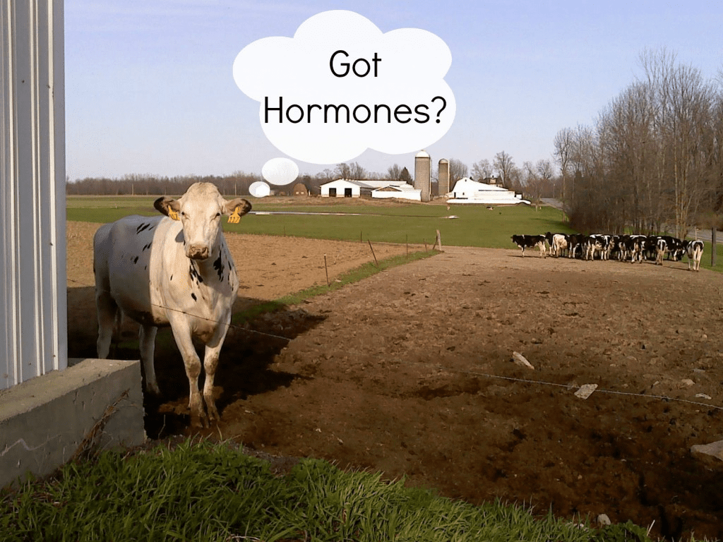 The Health Hazards of Factory-Farmed Meat and Dairy 2 The Health Hazards of Factory-Farmed Meat and Dairy June 2025