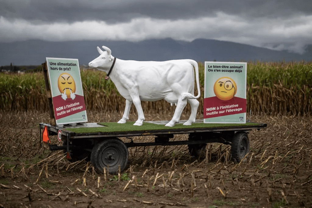 The Health Hazards of Factory-Farmed Meat and Dairy 5 The Health Hazards of Factory-Farmed Meat and Dairy June 2025