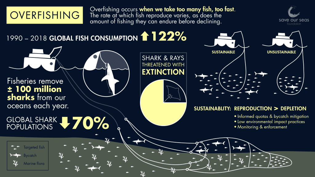 Protecting Marine Biodiversity: How Overfishing and Unsustainable Practices Impact Ocean Ecosystems 3 Protecting Marine Biodiversity: How Overfishing and Unsustainable Practices Impact Ocean Ecosystems June 2025