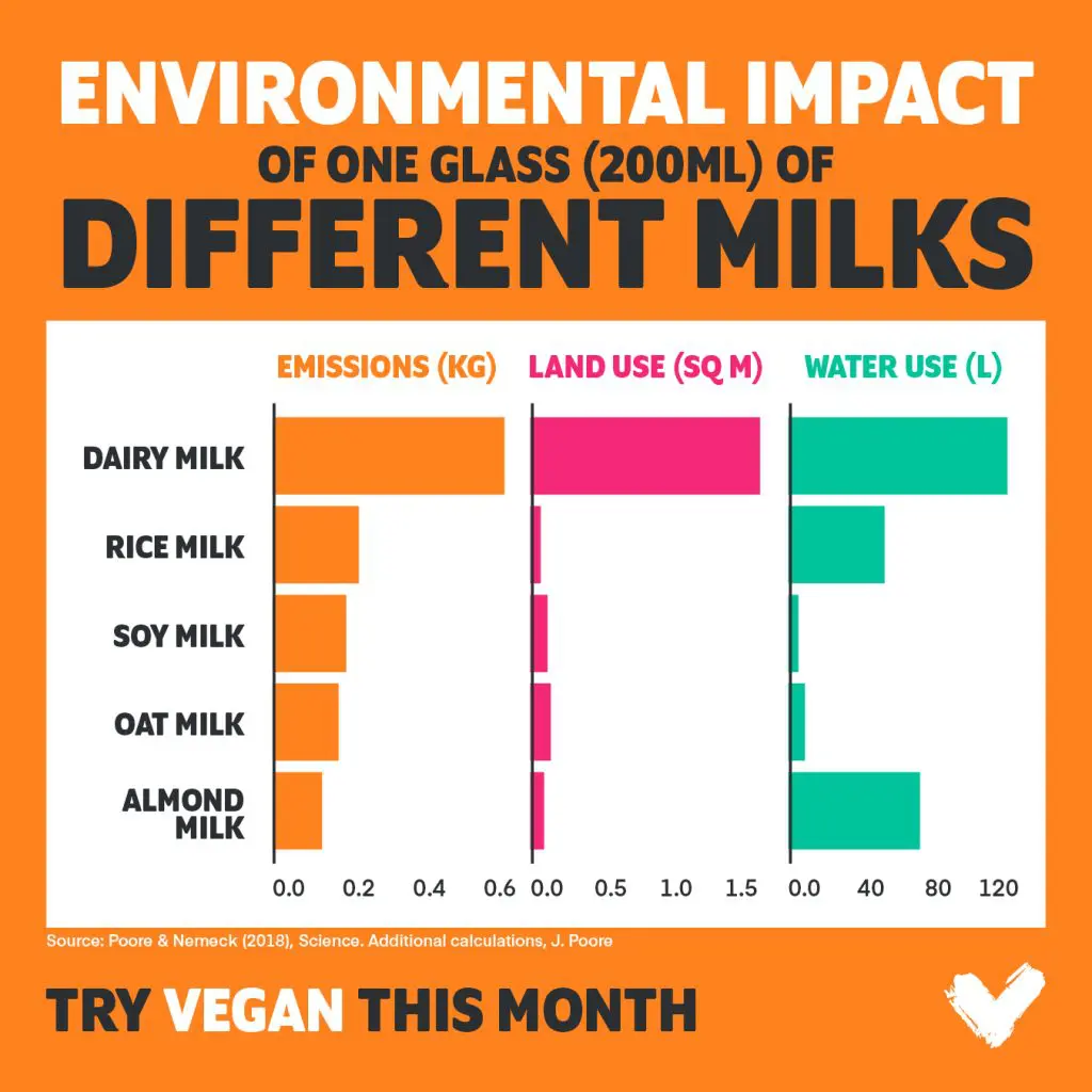Dairy Dilemma: Unveiling the Health Risks and Environmental Impact of Milk Production 3 Dairy Dilemma: Unveiling the Health Risks and Environmental Impact of Milk Production June 2025