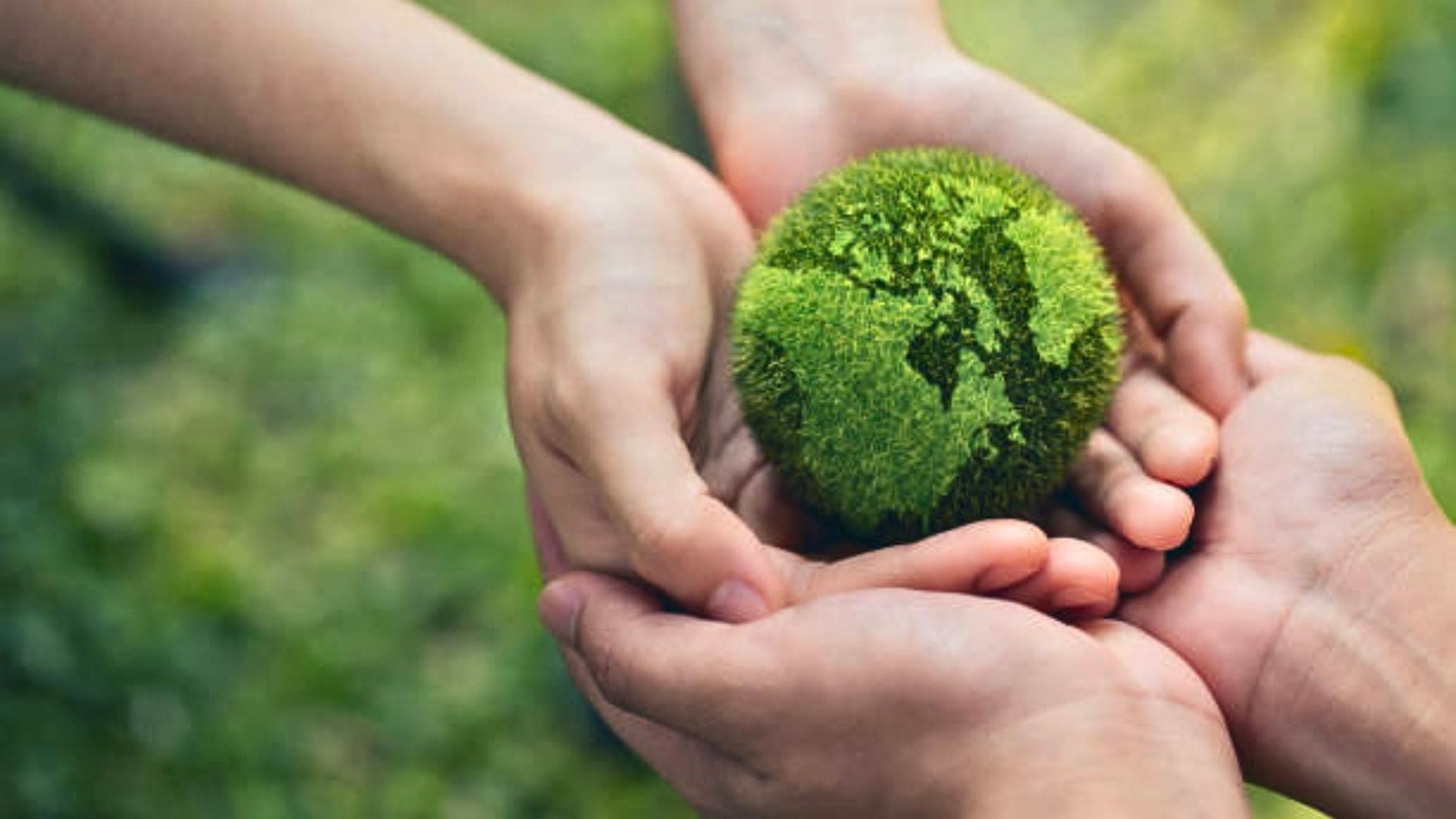 Exploring Alternatives to Traditional Meat and Dairy Products for a More Sustainable Future August 2025