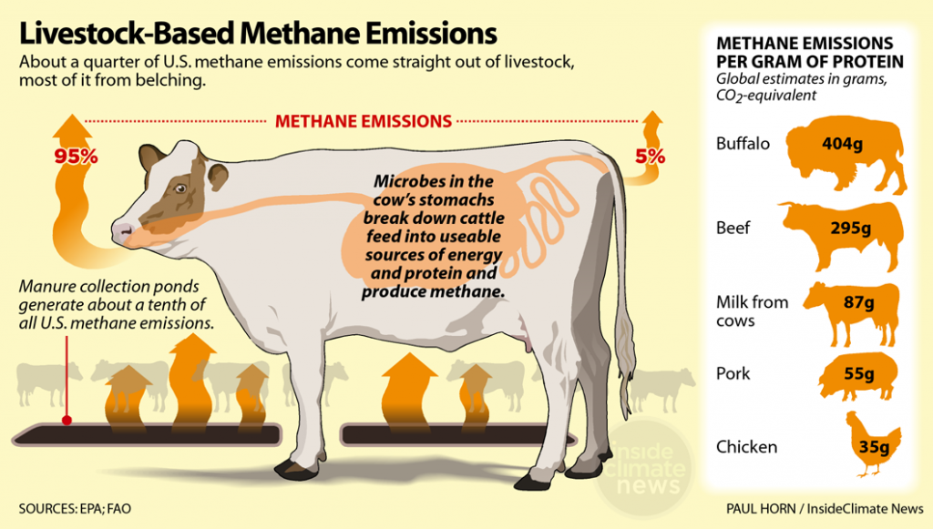 Dairy Dilemma: Unveiling the Health Risks and Environmental Impact of Milk Production 2 Dairy Dilemma: Unveiling the Health Risks and Environmental Impact of Milk Production June 2025