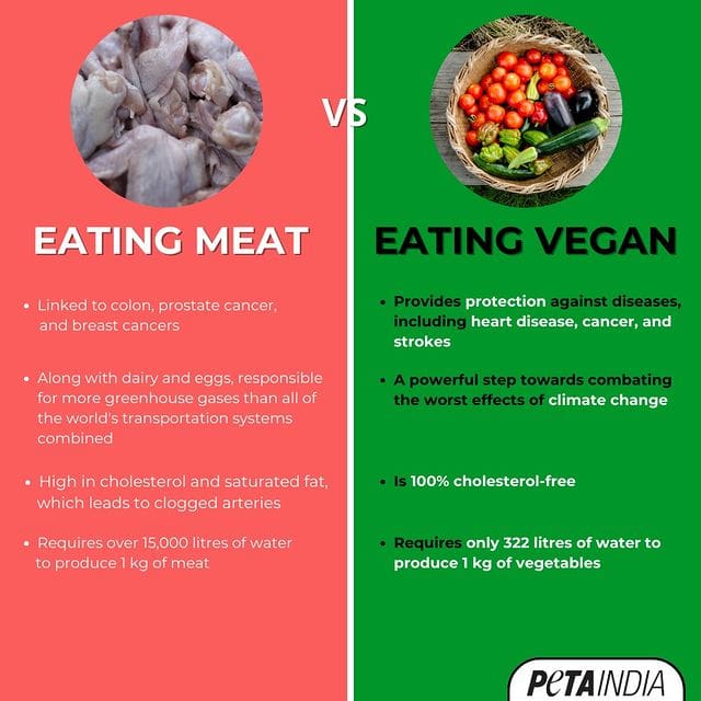 Vegan Starter Kit: Essential Tips for a Smooth Transition to Plant-Based Eating 1 Vegan Starter Kit: Essential Tips for a Smooth Transition to Plant-Based Eating June 2025