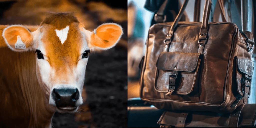 The Dark Reality of Fur and Leather Production: Unveiling the Cruelty Behind Fashion 1 The Dark Reality of Fur and Leather Production: Unveiling the Cruelty Behind Fashion June 2025