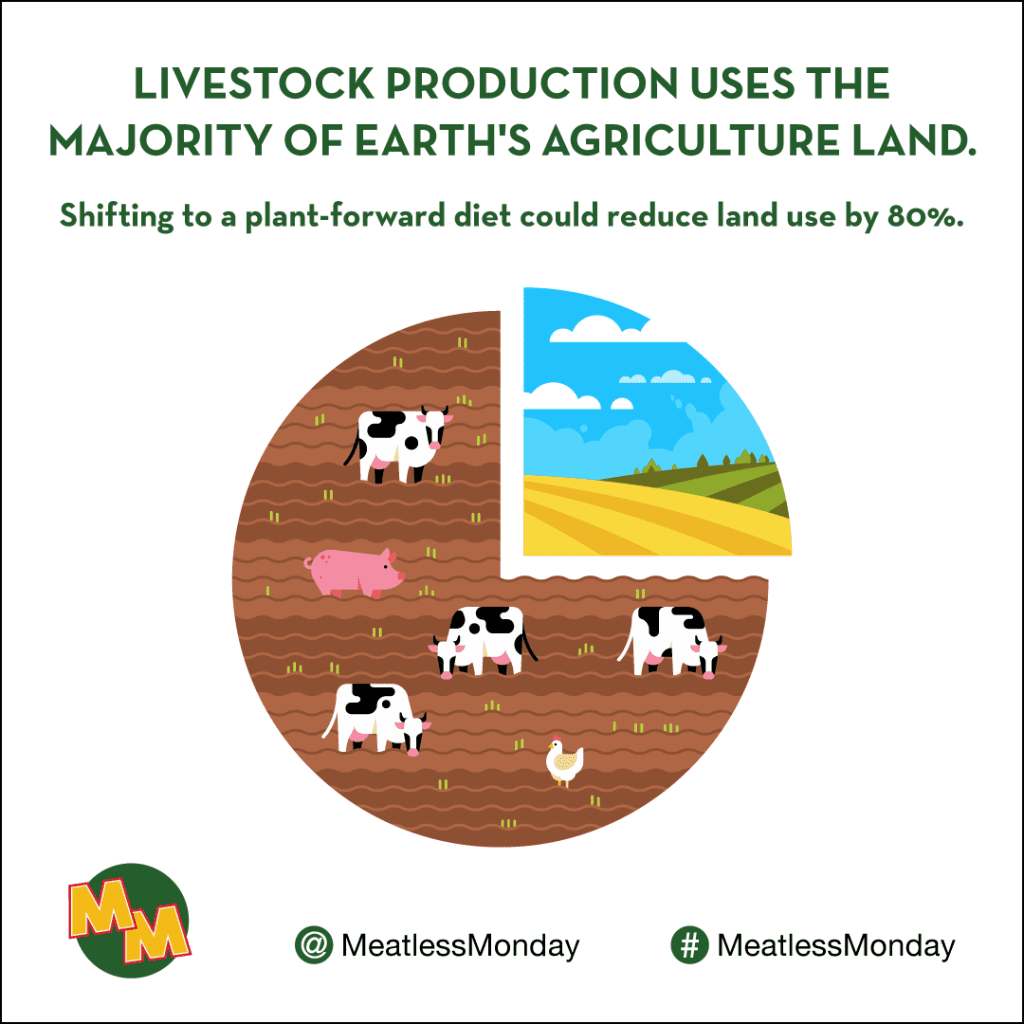 La déforestation dans votre assiette : comment la consommation de viande affecte les forêts tropicales 3 Déforestation dans votre assiette: comment la consommation de viande affecte les forêts tropicales en juin 2025