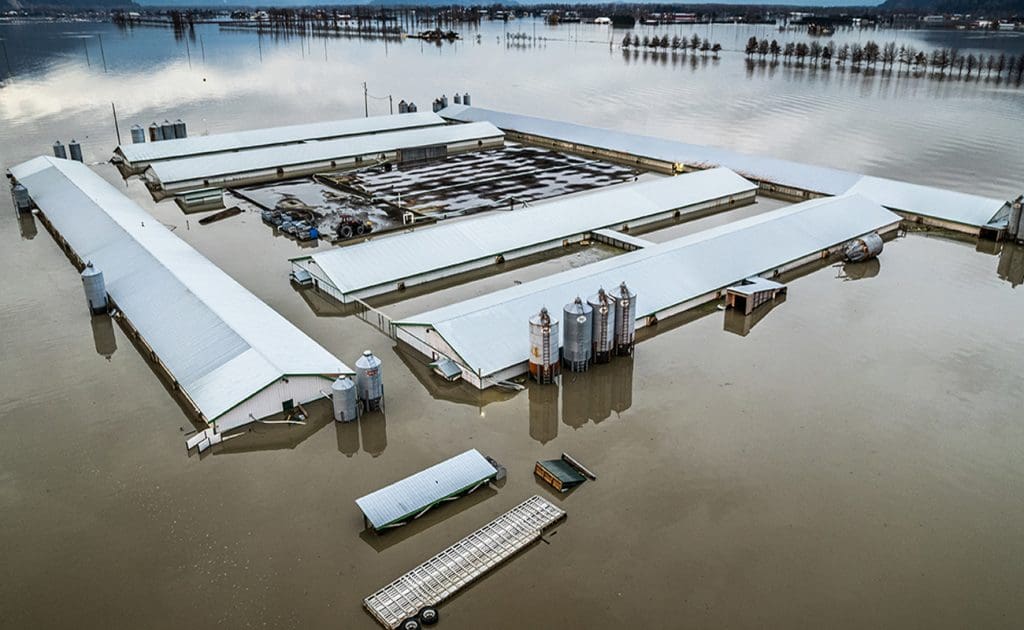 Үйлдвэрийн газар тариалангийн байгаль орчинд үзүүлэх нөлөө: Баримт ба статистик 2025 оны 8-р сар