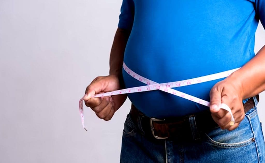 Hvordan et plantebasert kosthold kan bidra til å forhindre fedme og forbedre metabolsk helse august 2025