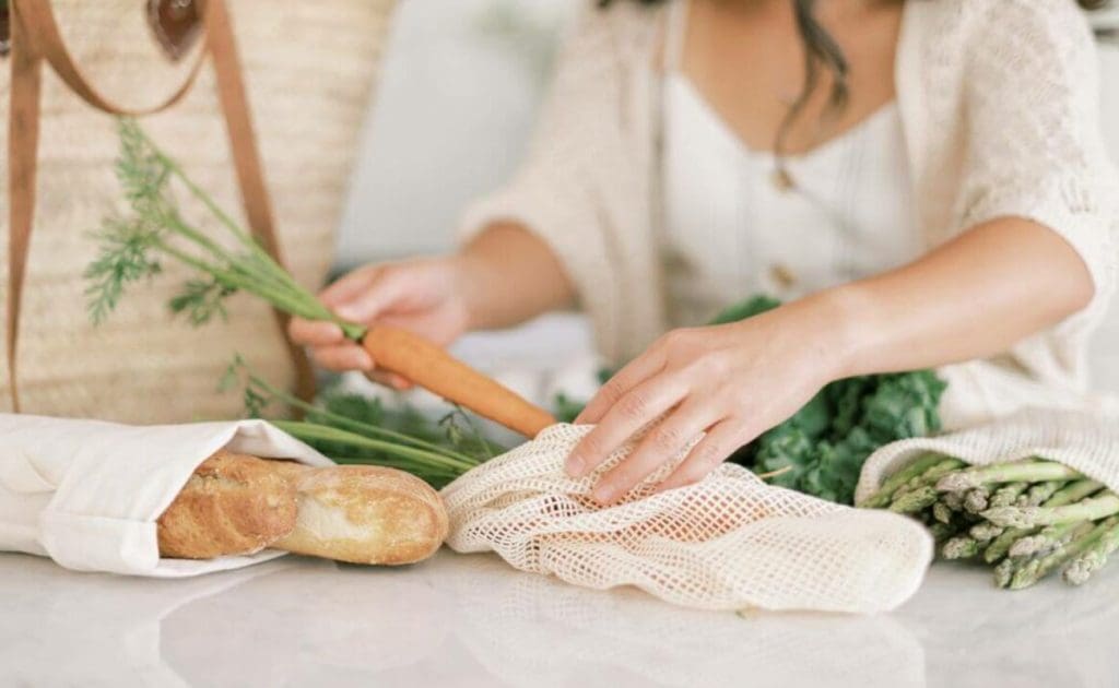 Tusi Fa&#39;aosofia ma Tala e uiga i le Vegan Journey Aokuso 2025