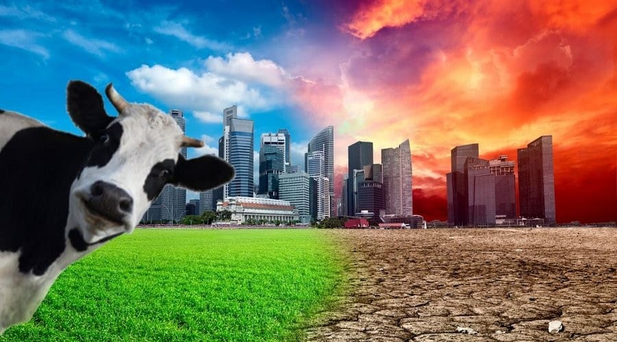Consideraciones éticas del consumo animal y la elección vegana 1 Consideraciones éticas del consumo animal y la opción vegana (agosto de 2025)