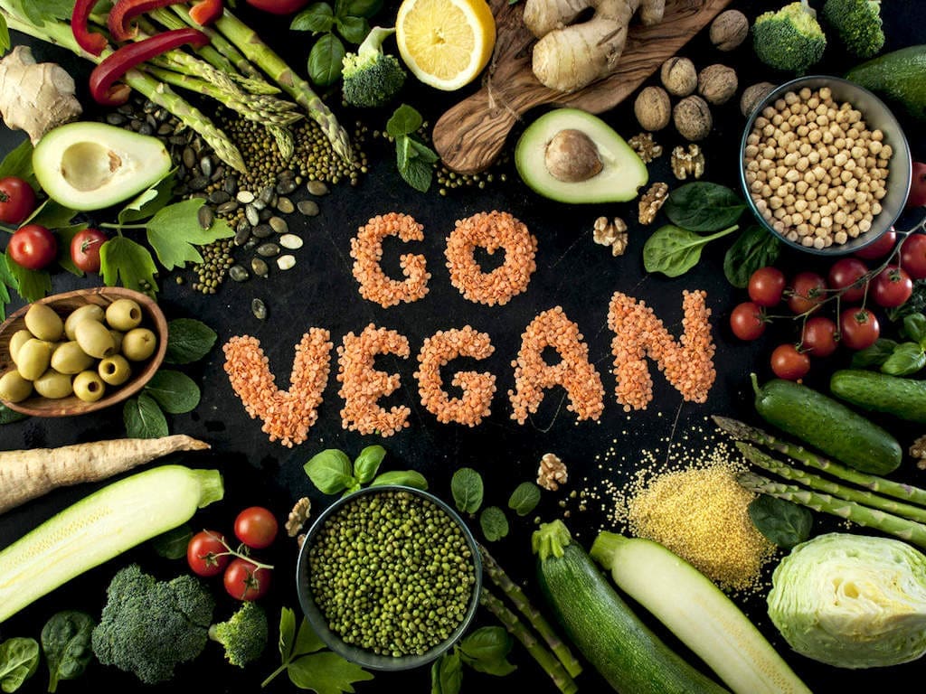 Factory Farming's Environmental Impact: Facts and Statistics 4 Factory Farming's Environmental Impact: Facts and Statistics June 2025