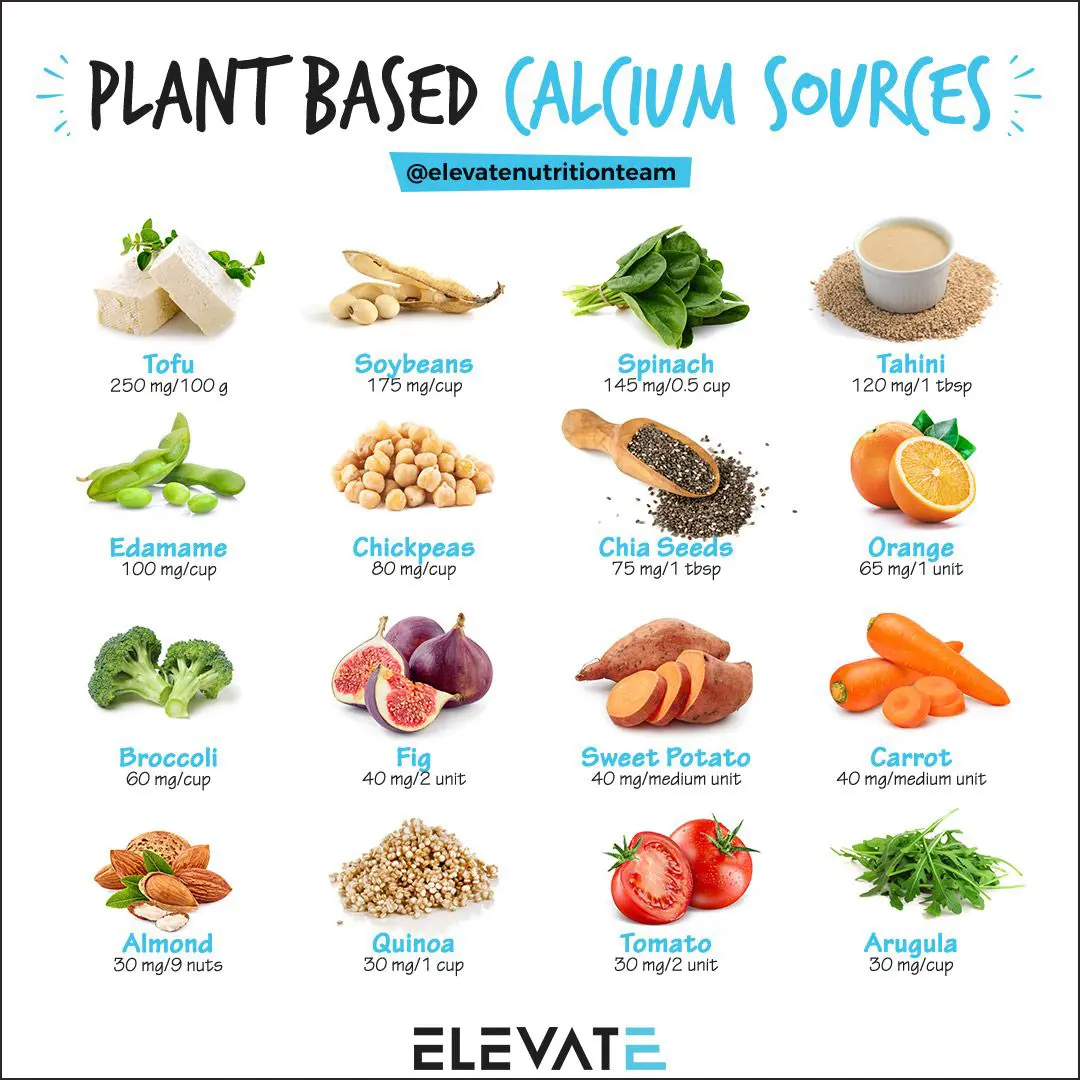 Calcium thiab vitamin D los ntawm cov nroj tsuag rau cov pob txha muaj zog hauv Vegans 2 Calcium thiab vitamin d los ntawm kev cog cov chaw rau cov pob txha muaj zog hauv Vegans Lub Rau Hli 2025