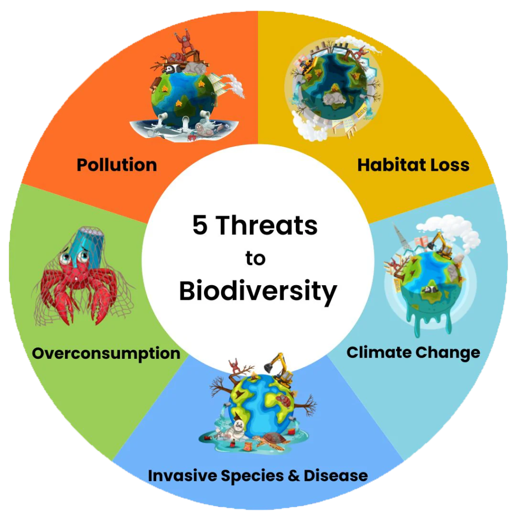 L-Impatt tal-Agrikoltura tal-Annimali fuq id-Deforestazzjoni u t-Telf tal-Bijodiversità 2 L-impatt tal-agrikoltura tal-annimali fuq id-deforestazzjoni u t-telf tal-bijodiversità f'Ġunju 2025