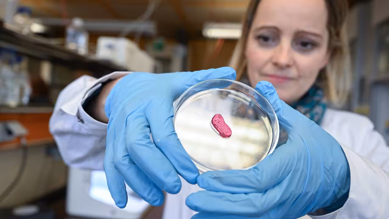 How 'lab-grown' meat could help the planet and our health 1 How 'lab-grown' meat could help the planet and our health June 2025