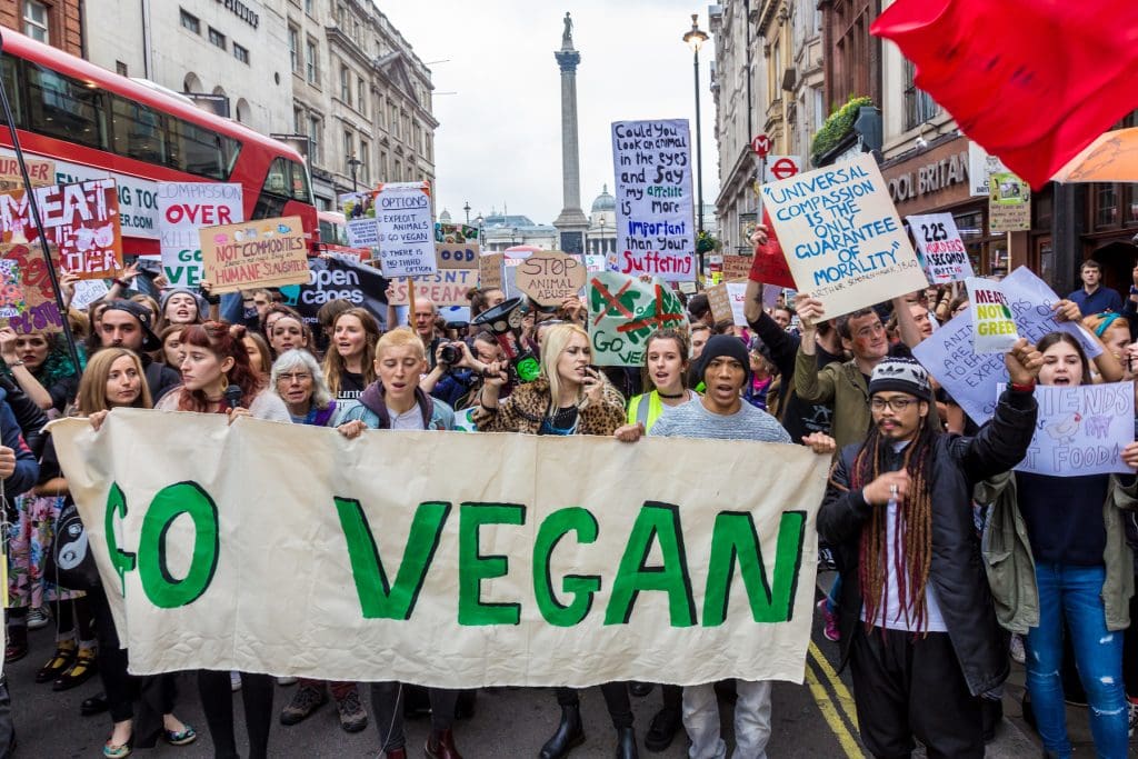 Consideraciones éticas del consumo animal y la elección vegana 4 Consideraciones éticas del consumo animal y la opción vegana (agosto de 2025)