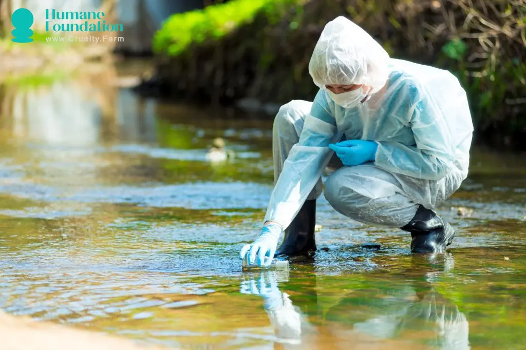 Factory Farming's Environmental Impact: Facts and Statistics 3 Factory Farming's Environmental Impact: Facts and Statistics June 2025