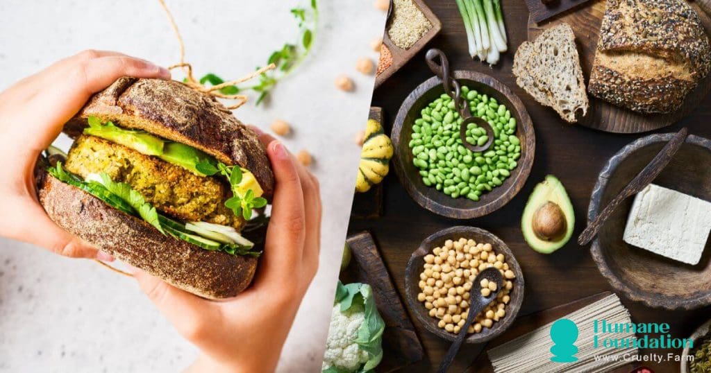 Kuanzia Barbegu za Nyuma hadi Chakula cha jioni cha Kupendeza: Kujua Sanaa ya Vegan Social Gastronomy 2 Kutoka Backyard BBQs hadi Dinners ya Fancy: Mastering Art of Vegan Social Gastronomy Agosti 2025