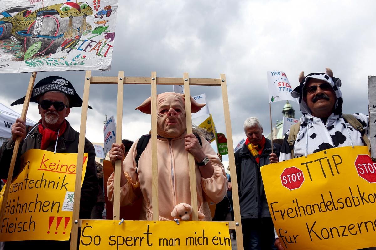 Utover «kaninkrammere»: Hvorfor veganisme er en mektig kraft for dyrs rettigheter 2 Utover «kaninkrammere»: Hvorfor veganisme er en mektig kraft for dyrs rettigheter august 2025