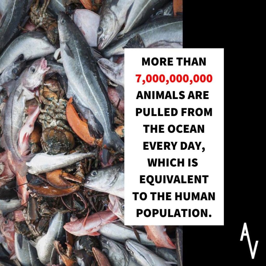 Do Fish Feel Pain? Uncovering the Cruel Reality of Aquaculture and Seafood Production 3 Do Fish Feel Pain? Uncovering the Cruel Reality of Aquaculture and Seafood Production June 2025