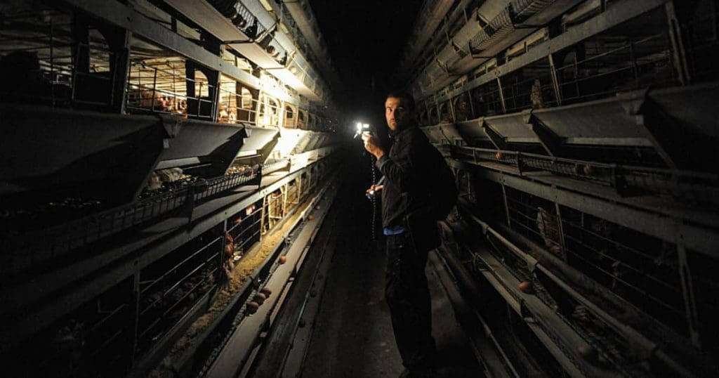 ag-gag-laws,-thiab-the-fight-over-laws,-explained