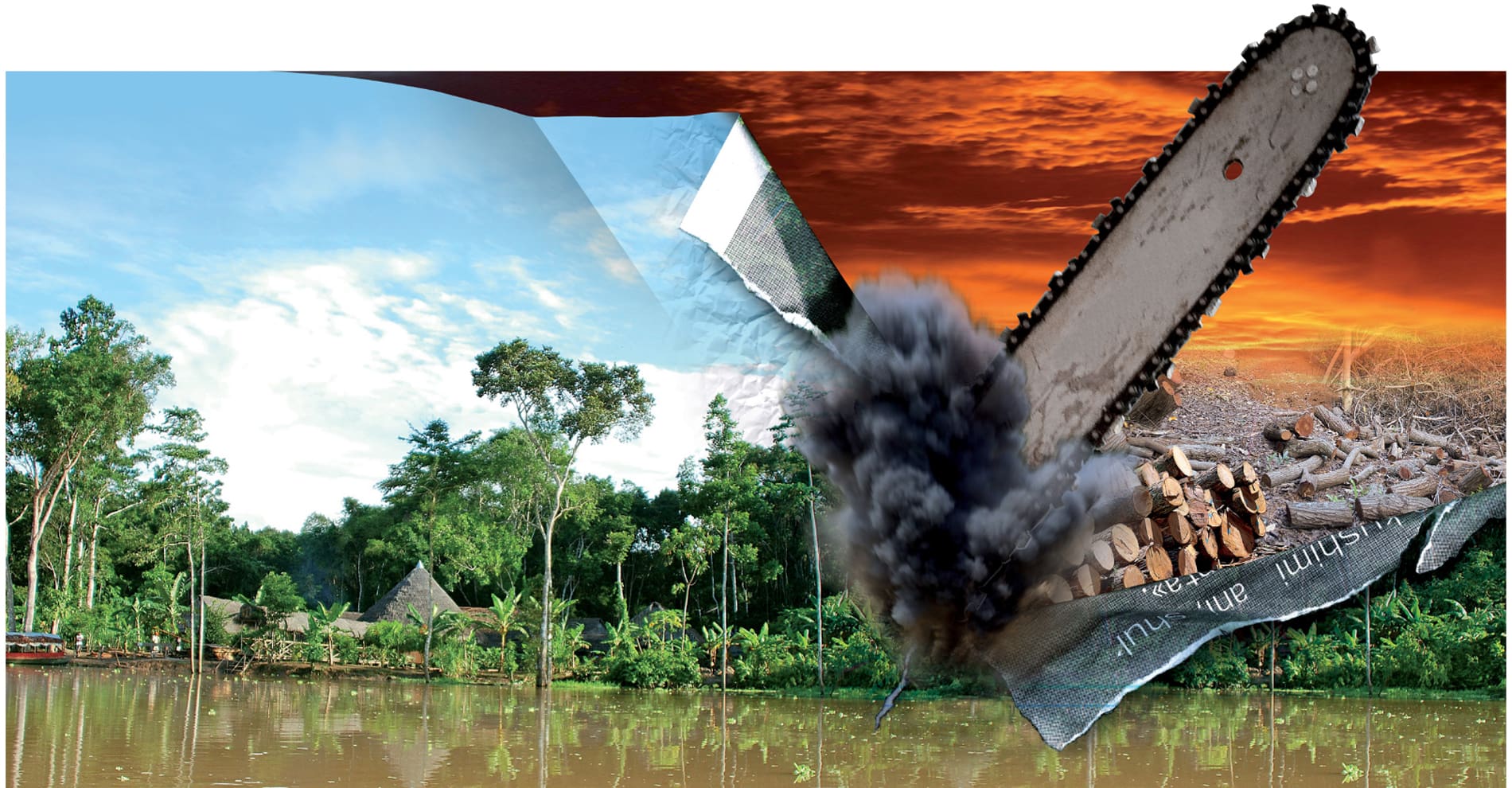 Factory Farming and Its Role in Land Degradation, Soil Erosion, and Desertification August 2025
