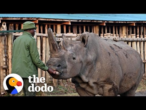 13 Manu o lo'o Fa'afeagai ma Fa'aumatia ona o A'afiaga o Tagata 65 13 O manu o loʻo feagai ma le aveeseina ona o ni faʻafitauli o le tagata ia Iuni 2025