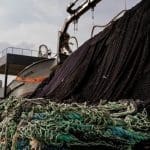 рибна промисловість має бути притягнута до відповідальності