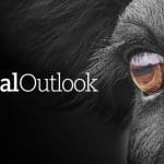 Hooggeregshof verwerp die vleisbedryf-uitdaging teen die wet op dieremishandeling