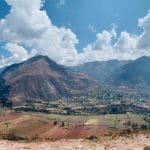 មនុស្សបុរាណបង្ហាញពីភស្តុតាងនៃរបបអាហារធ្ងន់របស់រុក្ខជាតិ