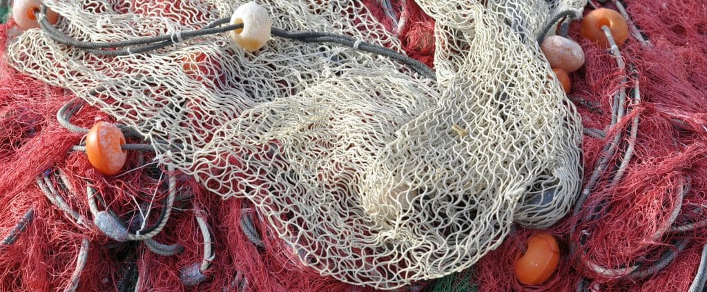 bottom-trawling-releases-significant-co2,-contributing-to-climate-change-and-ocean-acidification