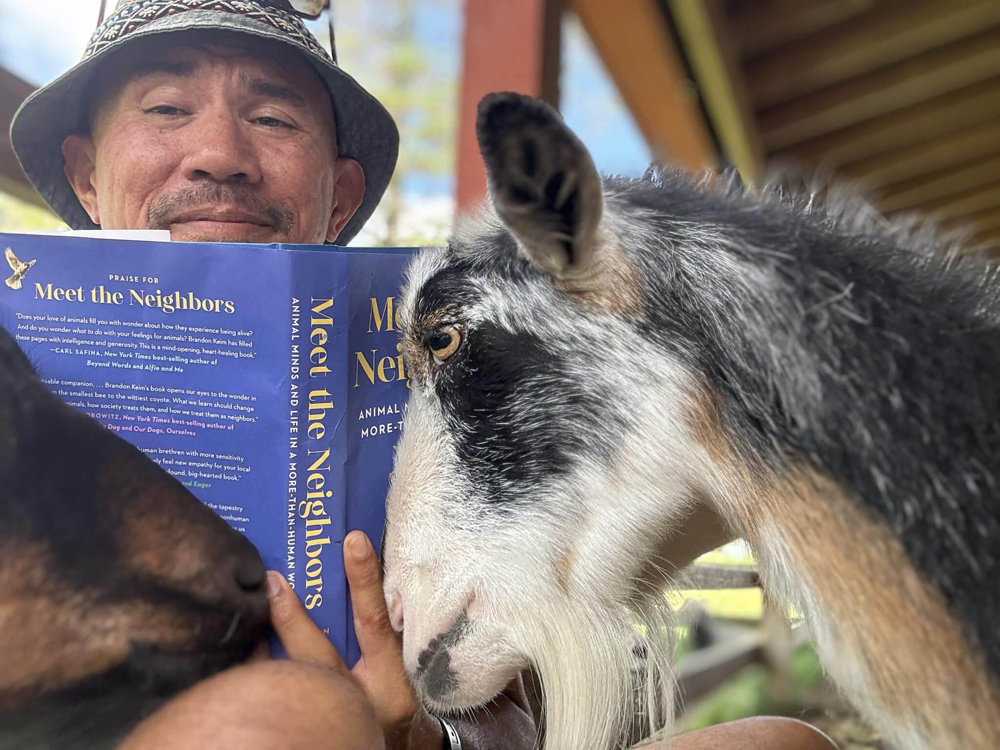 Meet The Neighbours' deur Brandon Keim: A Compassionate Look at Animals 5 Skrywer Brandon Keim lees sy boek Meet the Neighbours met 'n bok wat die boek stoot.