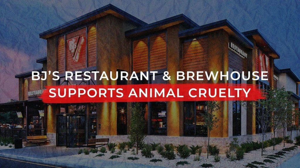 BJ&#39;s Restaurant &amp; Brewhouse po fsheh një sekret të pistë 👀