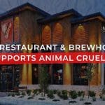 BJ's Restaurant & Brewhouse verstoppt en dreckeg Geheimnis 👀