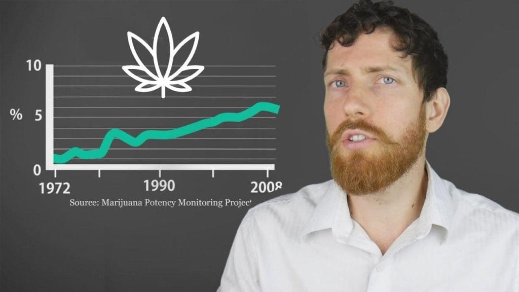 A është Marihuana e pashëndetshme? Një vështrim i thellë në hulumtim