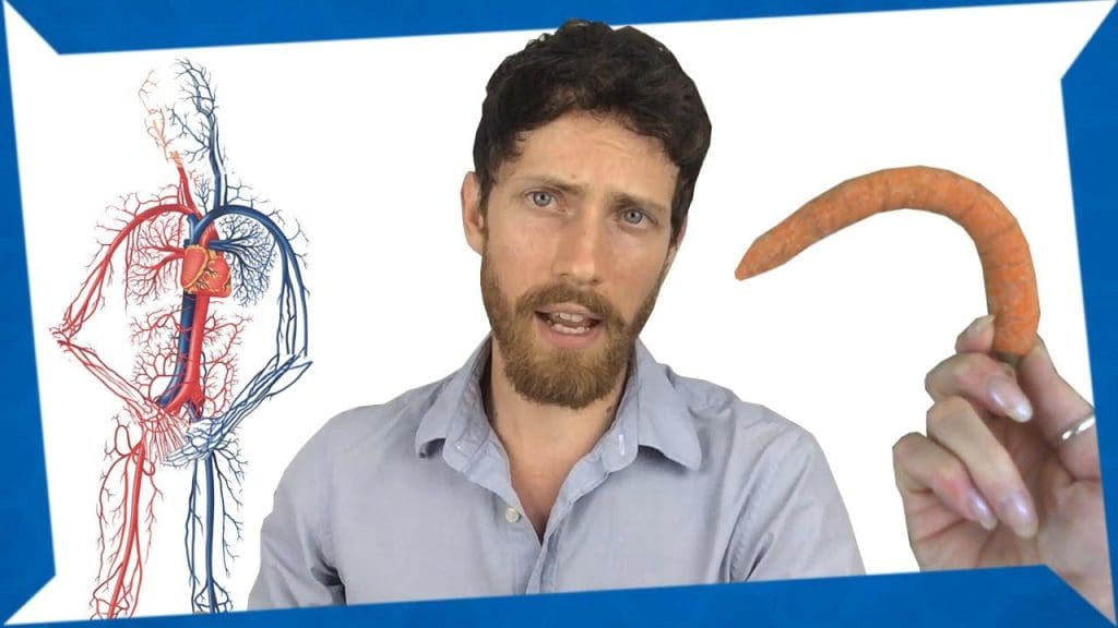 Էրեկտիլ դիսֆունկցիա. պատճառ և բուժում | Ոչ Clickbait