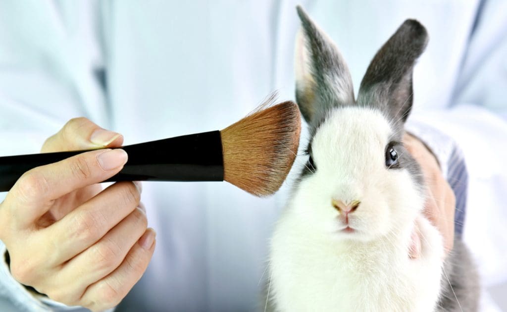 Testarea pe animale în cosmetice: Promovarea frumuseții fără cruzime, august 2025