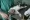 Types of Animal Testing: Understanding the Suffering and Ethical Concerns June 2025