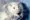 Types of Animal Testing: Understanding the Suffering and Ethical Concerns June 2025