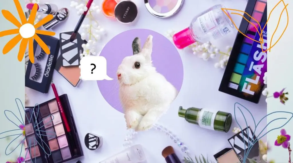 Your Ultimate Guide to Identifying Cruelty-Free Beauty Products 1 Your Ultimate Guide to Identifying Cruelty-Free Beauty Products June 2025