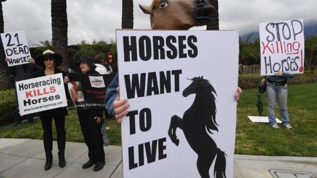 End Horse Racing: Reasons Why Horse Racing Is Cruel August 2025