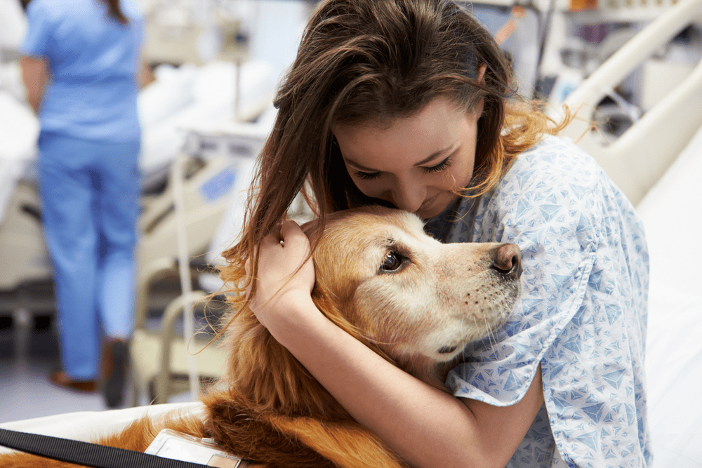 Exploring the Bonds Between Humans and Pets: Understanding the Deep Connections 2 Exploring the Bonds Between Humans and Pets: Understanding the Deep Connections June 2025