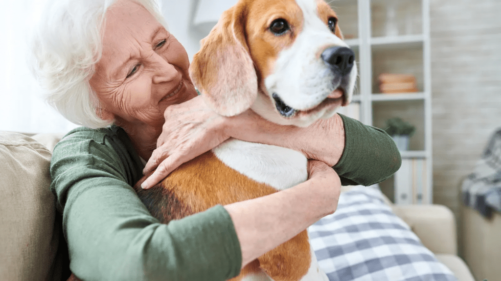 Exploring the Bonds Between Humans and Pets: Understanding the Deep Connections 4 Exploring the Bonds Between Humans and Pets: Understanding the Deep Connections June 2025