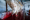Exposing the Cruelty of Chicken Transport and Slaughter: Hidden Suffering in the Poultry Industry June 2025