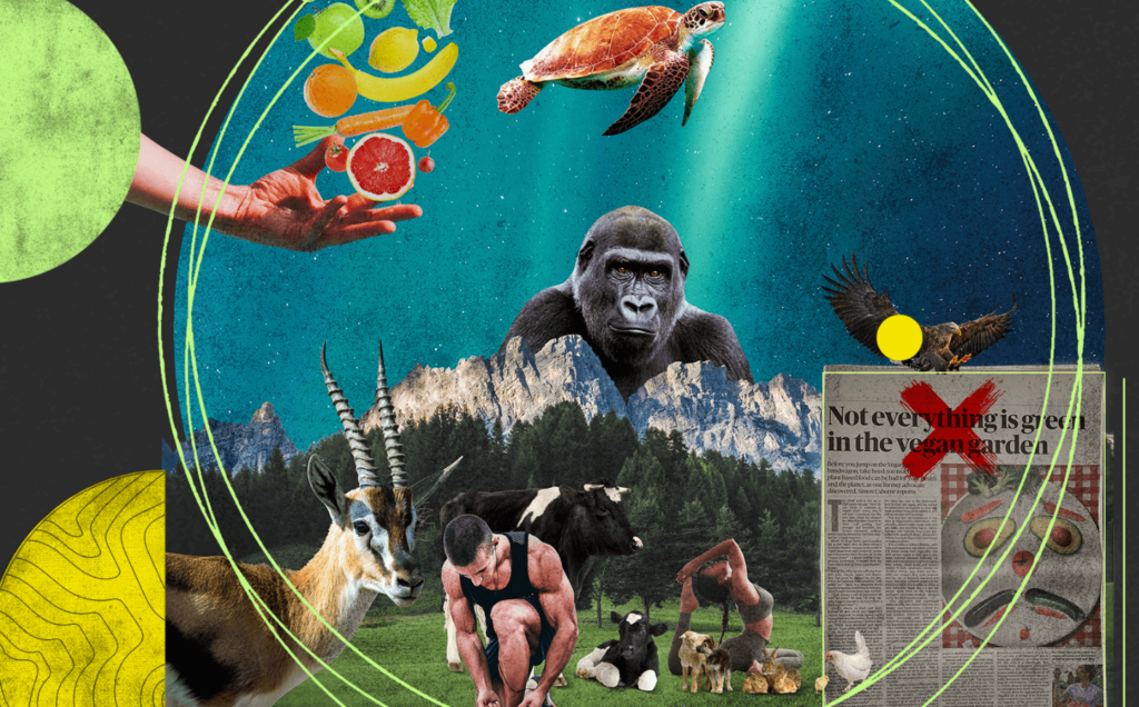 How Veganism Strengthens Compassionate Connections with Animals 3 How Veganism Strengthens Compassionate Connections with Animals June 2025