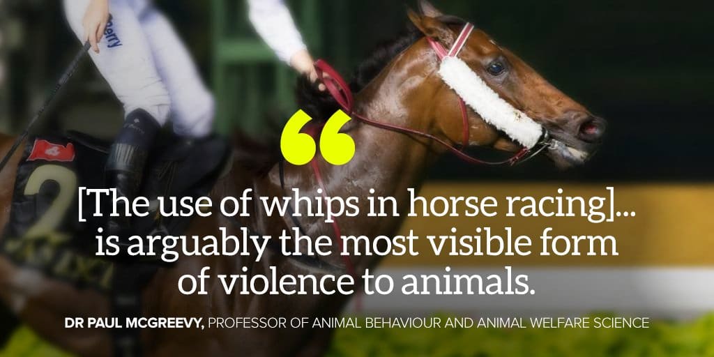 End Horse Racing: Reasons Why Horse Racing Is Cruel August 2025
