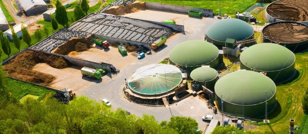 Окружающая среда 125 Окружающая среда Август 2025