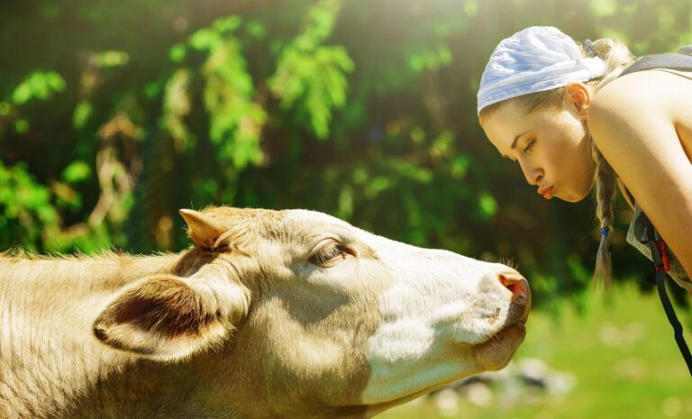 Vegānisms ārpus politikas 3 Vegānisms ārpus politikas 2025. gada decembris